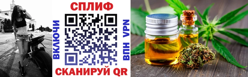 Канабис гибрид  Кыштым 